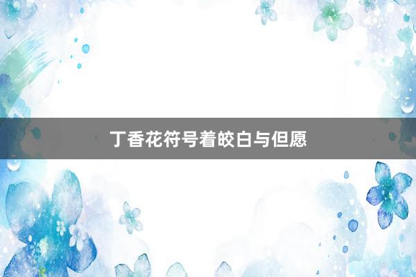 丁香花符号着皎白与但愿